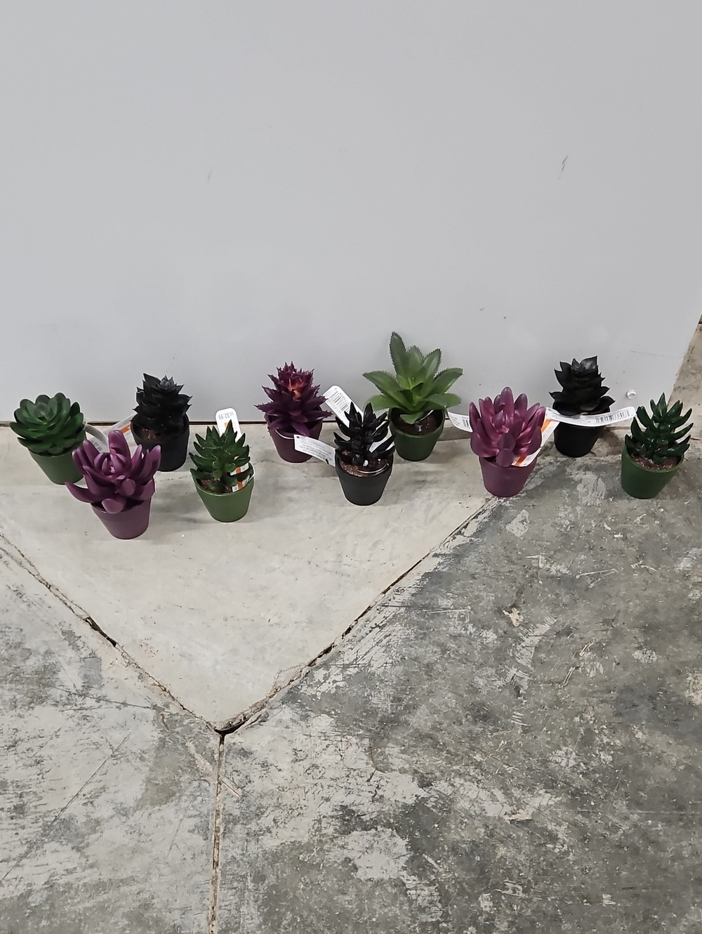 Faux Mini Potted Succulents Plants - 10 Plants